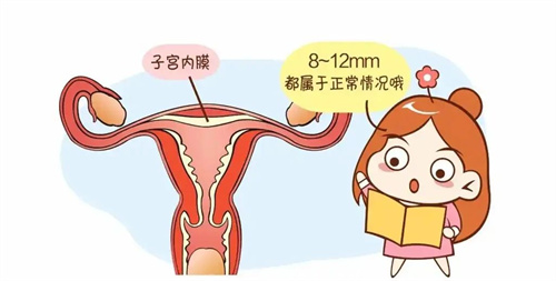 胚胎移植前先解决这4个宫腔问题，着床基本稳了！