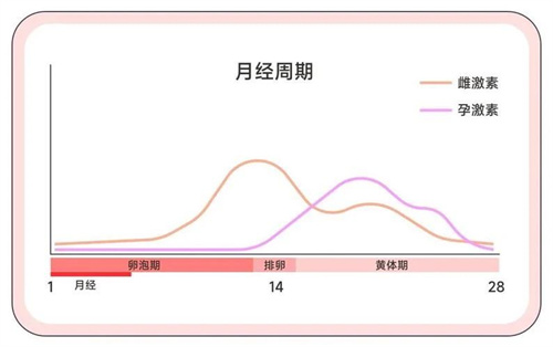 胚胎移植前先解决这4个宫腔问题，着床基本稳了！