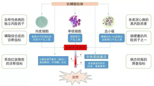 这场特殊的「高考」，希望你能“一击即中”！