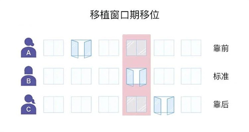 多次移植不着床？胚胎移植“黄金窗口”了解一下！