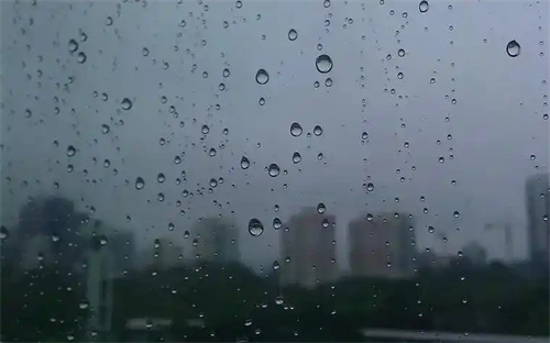 为什么有人夏天一备就中？揭秘5步祛湿法！养成「易孕体质」，优质卵泡完美拿捏~
