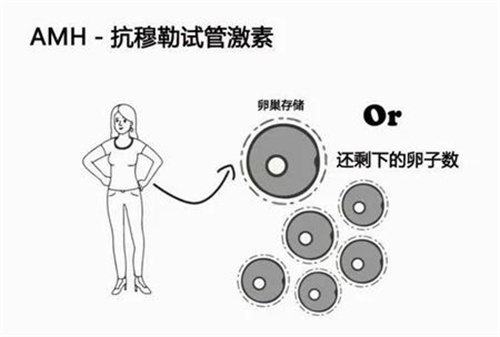 想让卵巢变年轻，做好这6点很重要！