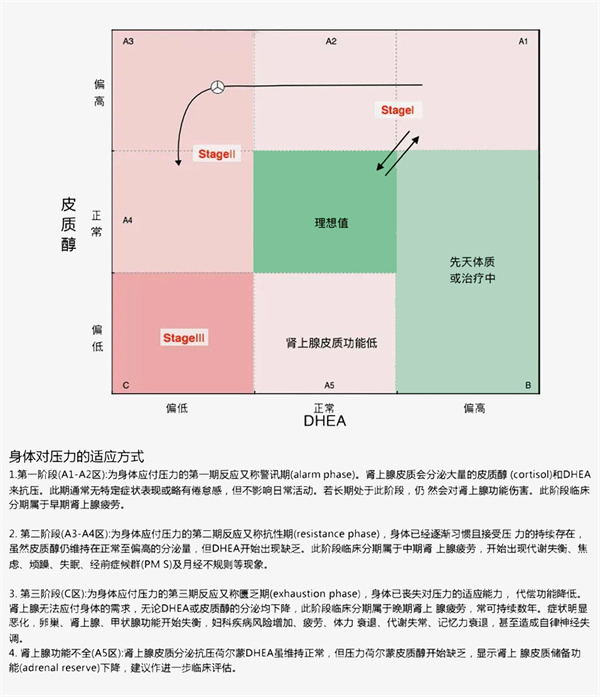这个激素竟能帮助「卵巢修复」？过低过高都不行！卵泡液重磅研究