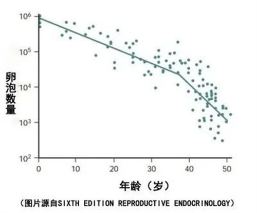人会变老，卵母细胞也会变老吗？