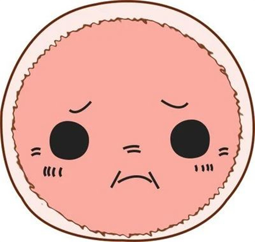 人会变老，卵母细胞也会变老吗？