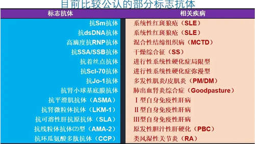 免疫系统也会“认错胚胎”？复发性流产的隐藏真相！