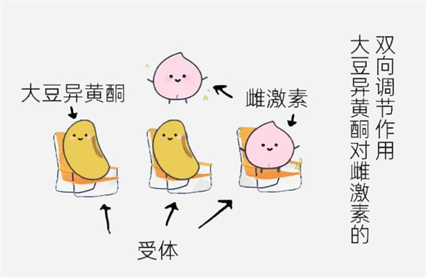 让卵巢恢复年轻态，这些“超级营养”请一定吃够它，高龄抱娃真的很关键！