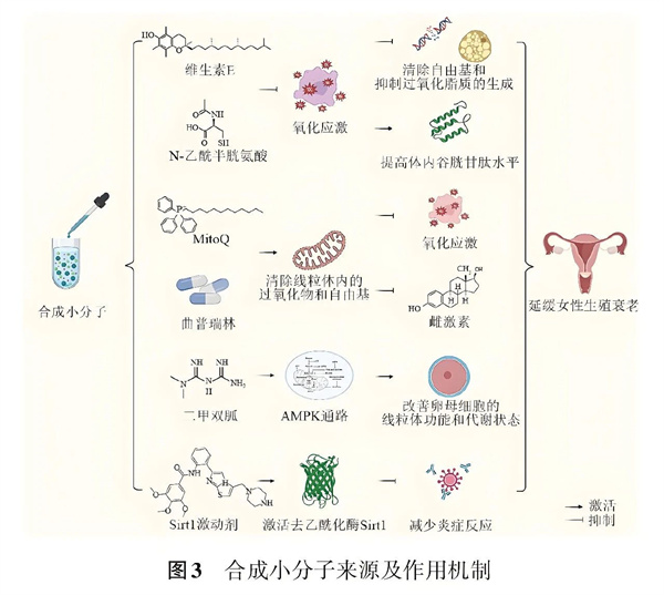 让卵巢恢复年轻态，这些“超级营养”请一定吃够它，高龄抱娃真的很关键！