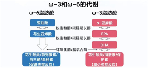 备孕换掉这个你每天都在吃的东西，生育力提高1.5倍！文献实锤
