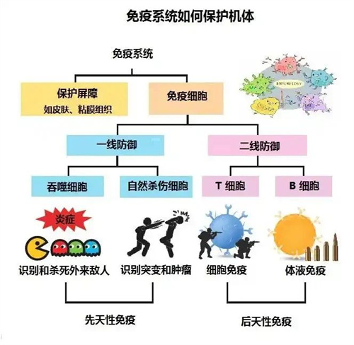 好胚胎、好内膜，为什么还着床失败？