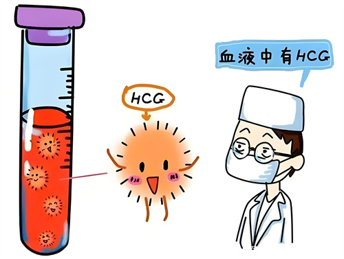 好胚胎、好内膜，为什么还着床失败？
