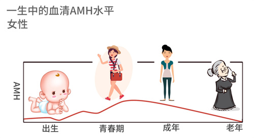 AMH数值低，选择自怀还是做试管？