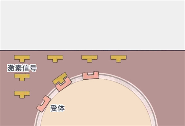 做试管可能会加速“卵巢衰老”？内行人才知道的补救技巧大公开！