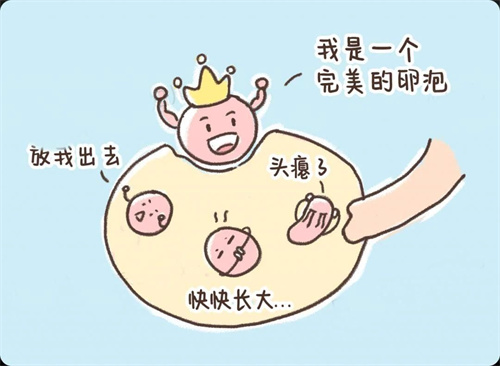 45岁养出优质囊胚，这个养卵方法值得收藏！