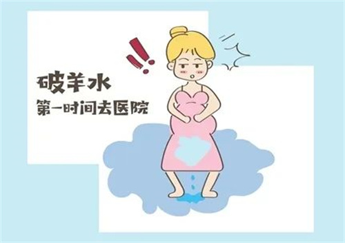 微信图片_20250719163454.jpg