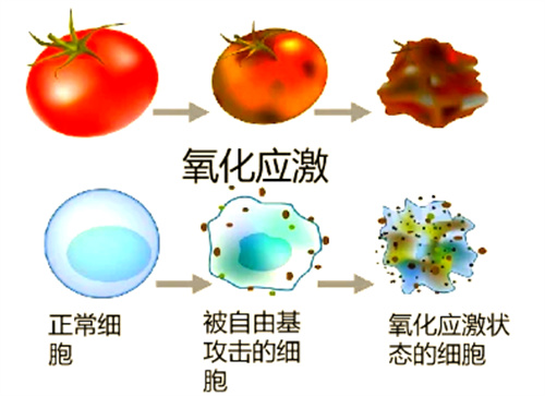 是什么在偷走你的生育力？这个生育“杀手”，你每天都在接触！