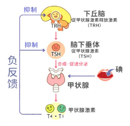 顶刊实锤！胎停流产率翻倍&活产降一半！你还以为这个指标和抱娃无关？