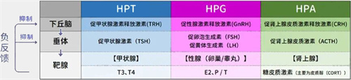 顶刊实锤！胎停流产率翻倍&活产降一半！你还以为这个指标和抱娃无关？