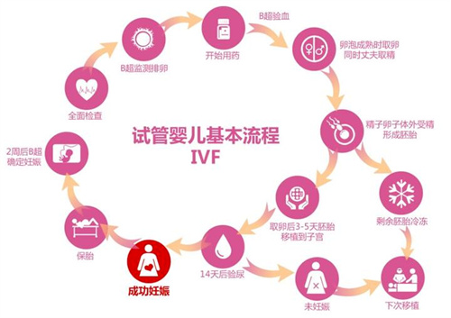 试管婴儿100问合集（一）