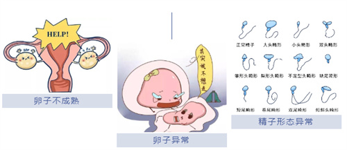 试管婴儿100问合集（三）