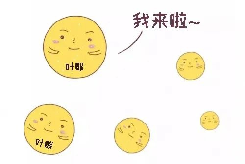 不搞清这些问题，劝你别随便补充叶酸！