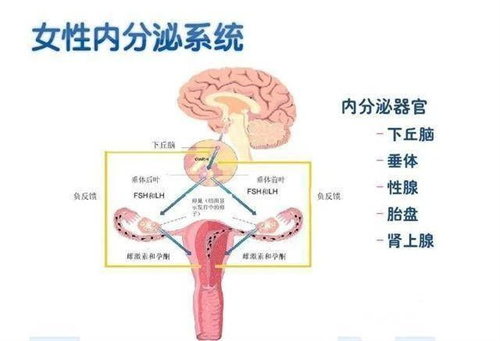 夏天常用品正在毁掉你的生育力，90%的人都不知道！