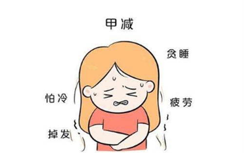 备孕时为什么要检查甲状腺功能？