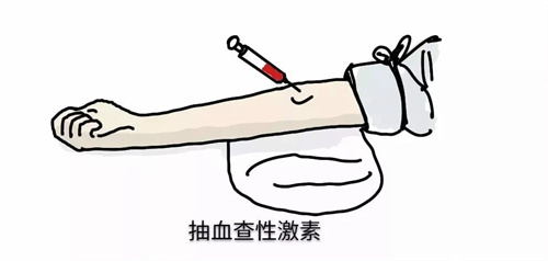 备孕时为什么要检查甲状腺功能？