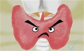 备孕时为什么要检查甲状腺功能？