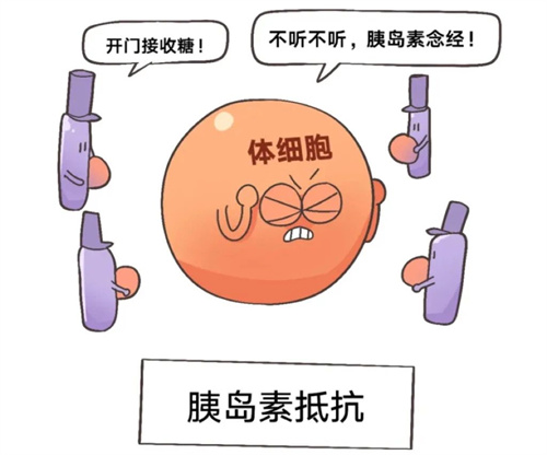 试管备孕必看：糖耐量异常与胰岛素抵抗，这项检查为何是关键？