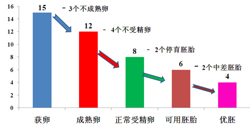试管婴儿100问合集（四）