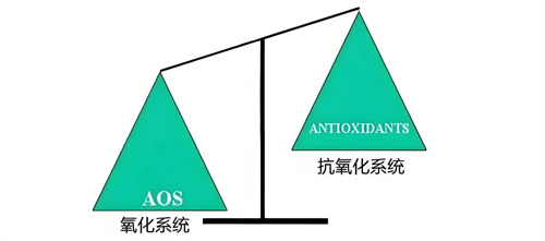 重大突破！卵巢衰老元凶找到了