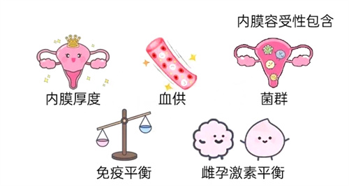 警惕！85%的试管姐妹都栽在这一步？3个必做准备，帮你避开移植失败的坑！