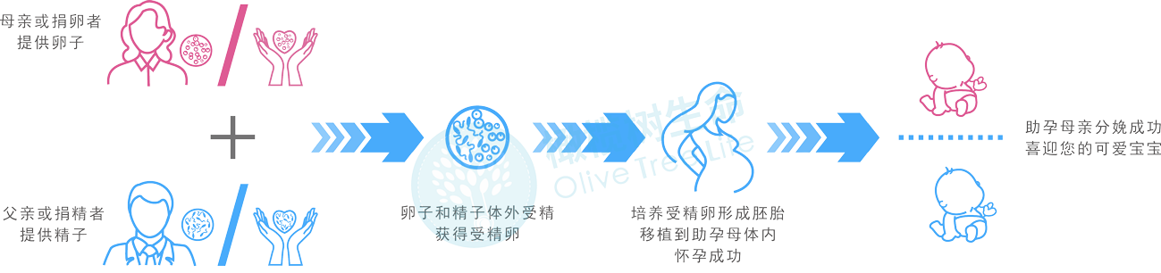 LGBT家庭助孕流程图一