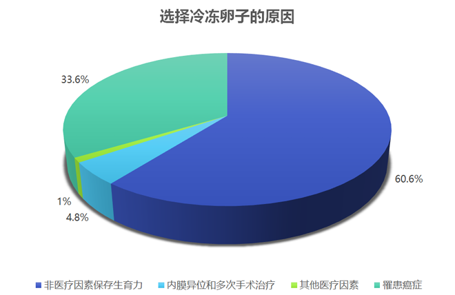 冻卵数据分析图表