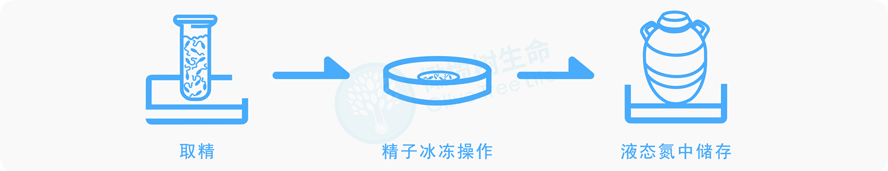 冻精服务流程图