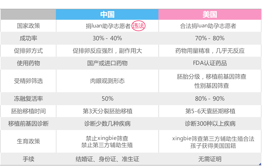 代孕与试管婴儿区别对比图