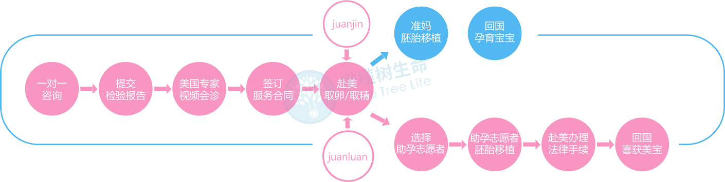 美国爱心妈妈形式