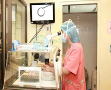 泰国JETANIN(杰特宁)医院JETANIN | Holistic Center for Infertility