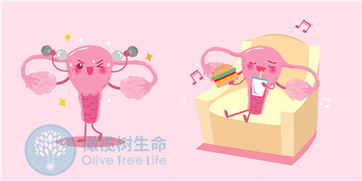 备孕补剂没选对,一元钱都是浪费!别再照搬网上清单了