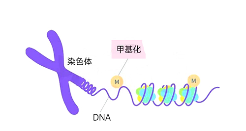精子质量居然跟着季节变?6步抓住蓄力黄金窗,备孕事半功倍!