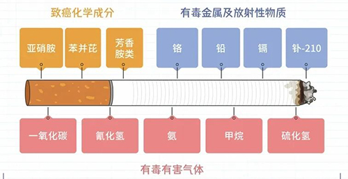 不孕率降低70%!做好这6件事,把握“黄金生育力”