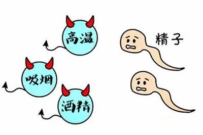 胚胎停育:别忽略容易被低估的男方因素!