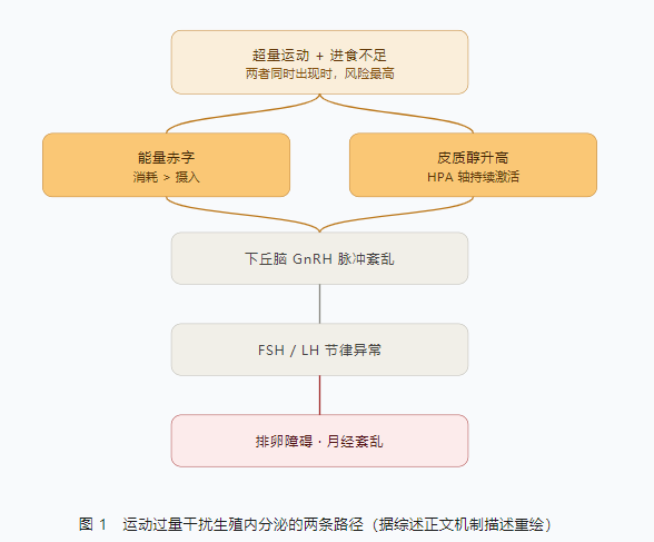越努力越难怀上？小心掉进自律陷阱