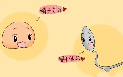 取卵多VS取卵少,哪个试管成功率更高?