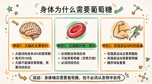 满分检查单≠稳了,试管备孕成功的关键藏在这!