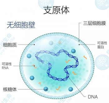 别被年龄定义!卵子质量另有线索,损耗快慢,你握有主动权!