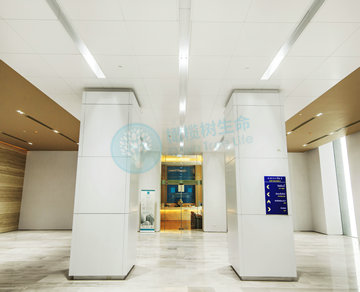 泰国Superior A.R.T.医院Superior A.R.T | Infertility Treatment ( IVF )