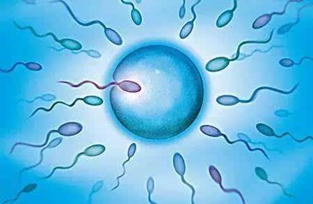 精子畸形率高做三代试管宝宝会健康？