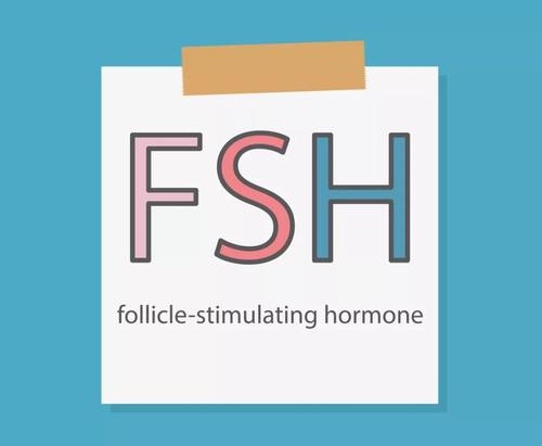 FSH值过高对试管婴儿有什么影响